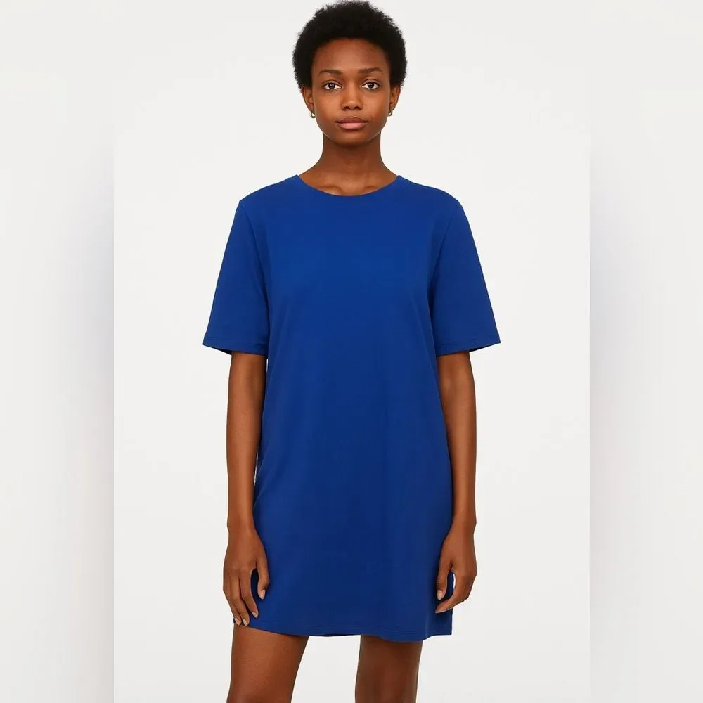 Eileen Fisher M Blue Dress